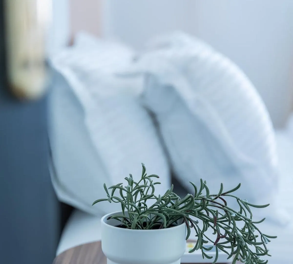 Modern & Chic Apartment In Gueliz, Marrakech 마라케시